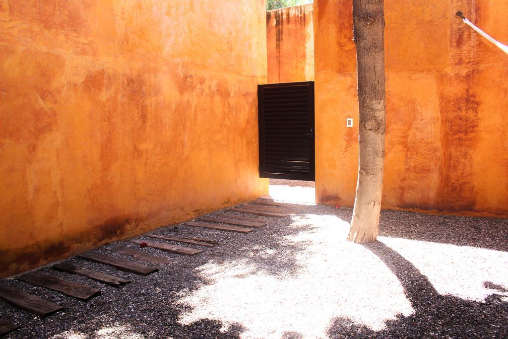 Cosijo -
